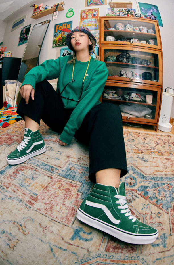 sk8-hi